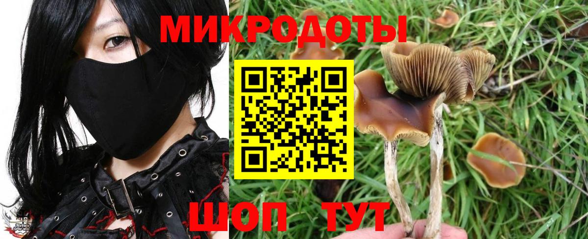 Галлюциногенные грибы мухоморы Великий Устюг