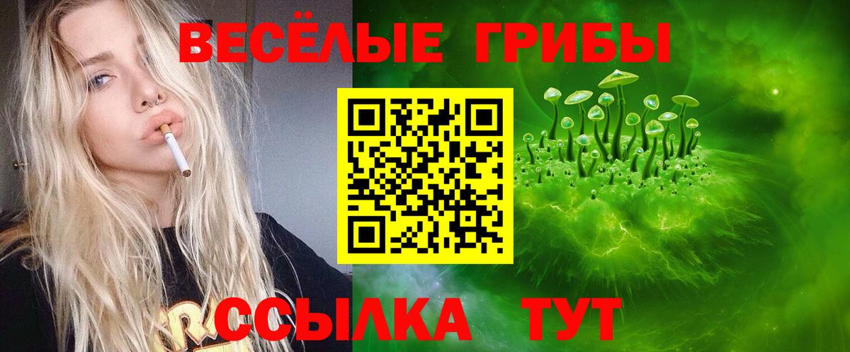 Псилоцибиновые грибы MAGIC MUSHROOMS  Вход с VPN  Псилоцибиновые грибы Magic Shrooms  Великий Устюг 