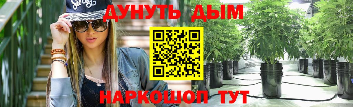 Конопля планчик  МАРИХУАНА AK-47  Бошки марихуана план  МАРИХУАНА Bruce Banner  Вход с VPN  Великий Устюг 
